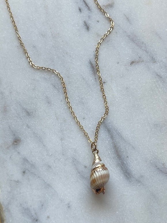 Natural Shell Necklace - Jessica Matrasko Jewelry